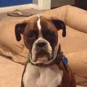 Meet your Posher, Laurie